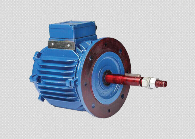 Cooling Tower Motors Manufacturers
